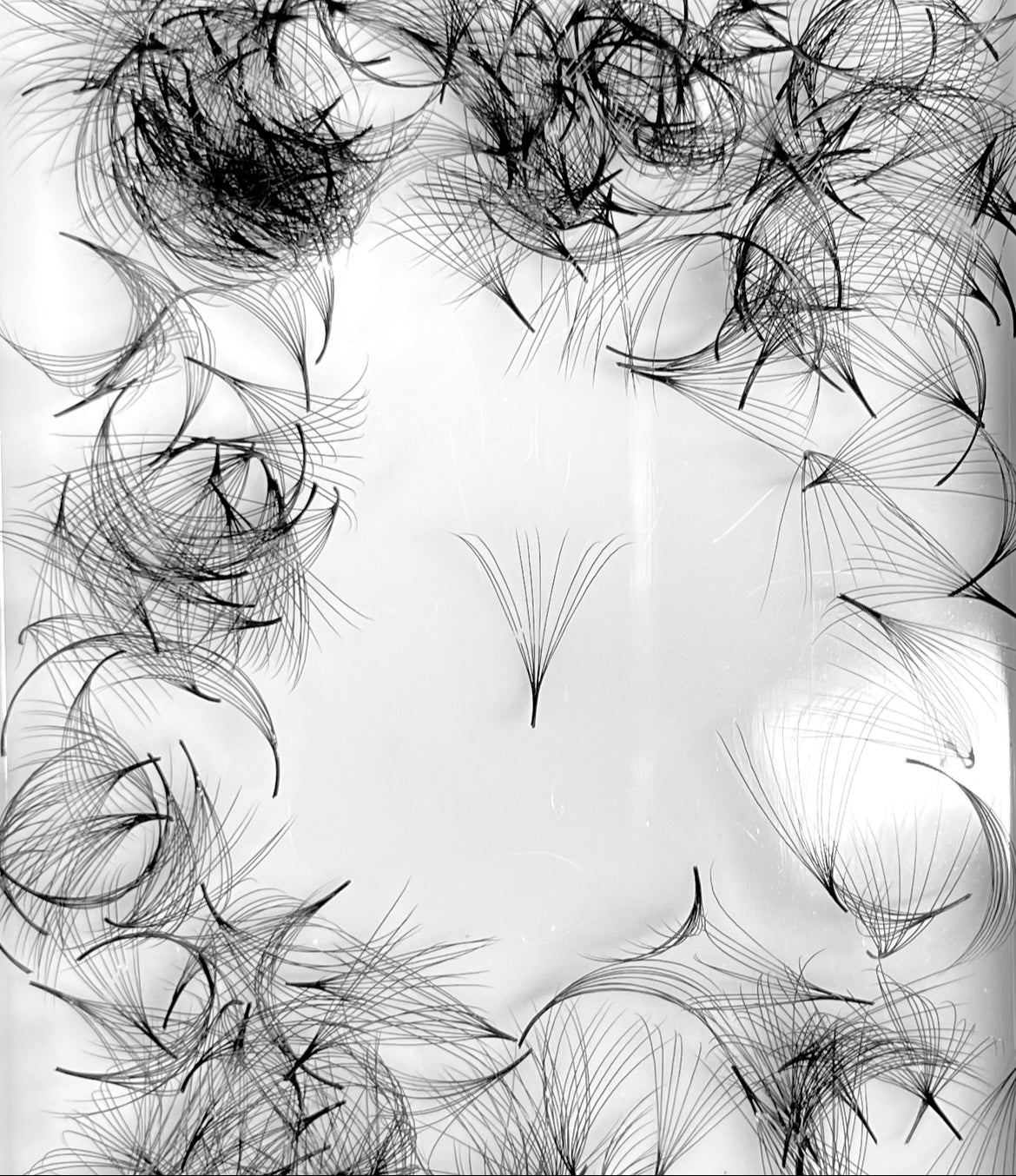 10D 0.05 D curl Premade Fans