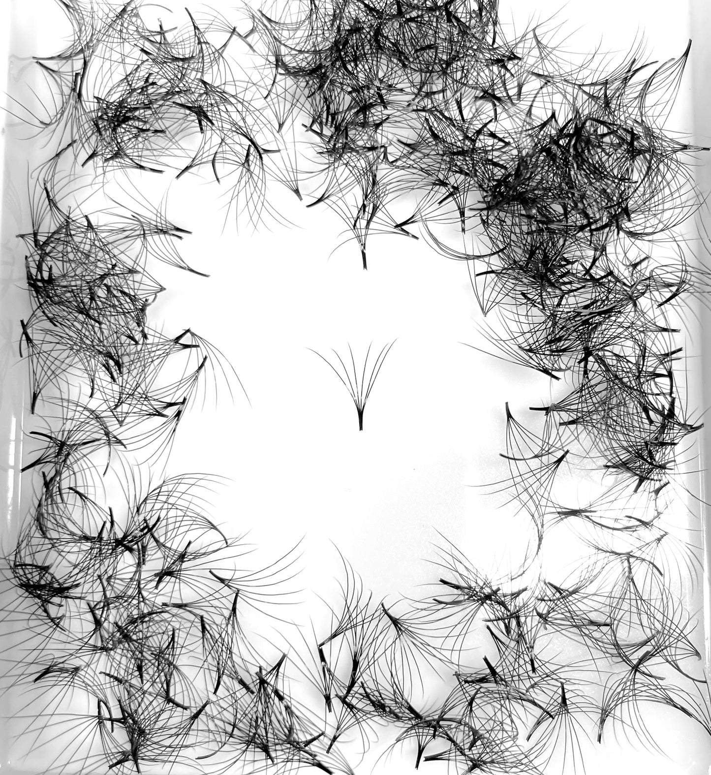 6D 0.07 C curl Premade Fans