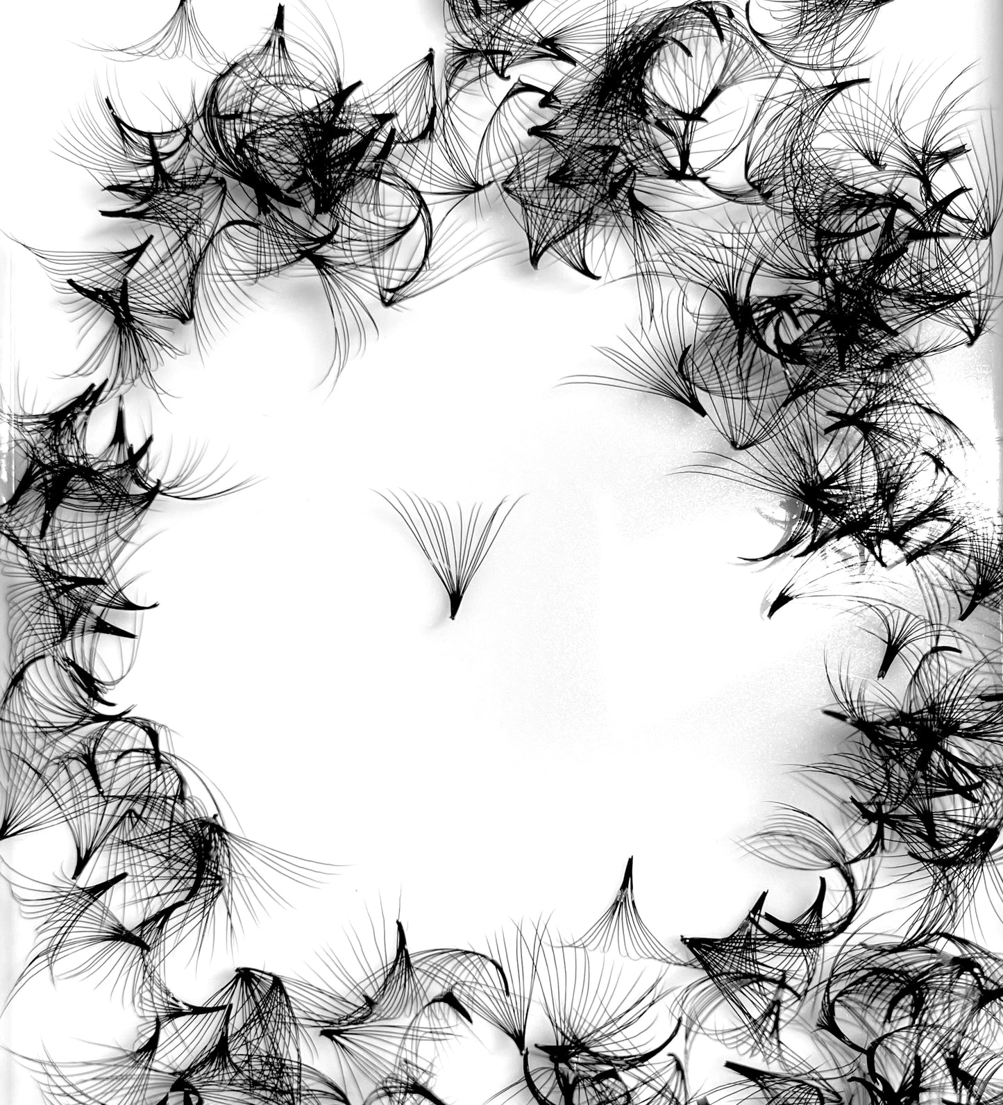 14D 0.03 D curl Premade Fans