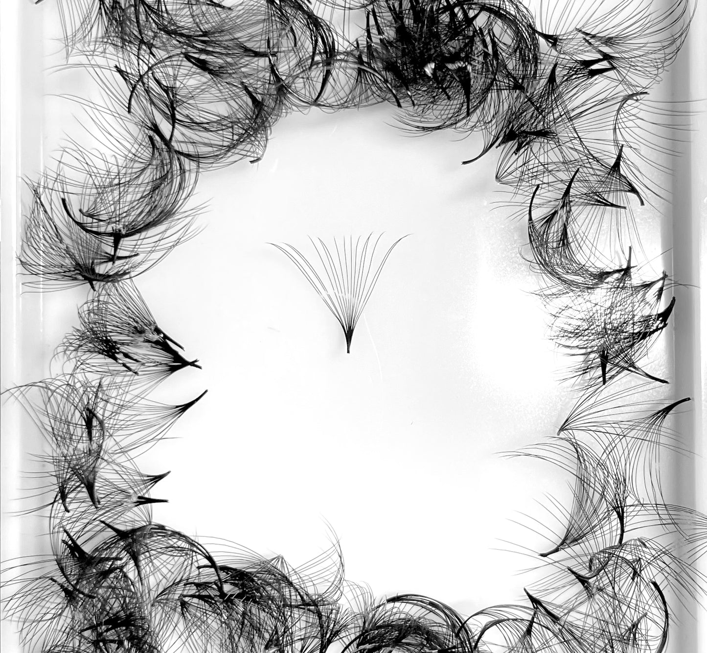 16D 0.03 C curl Premade Fans